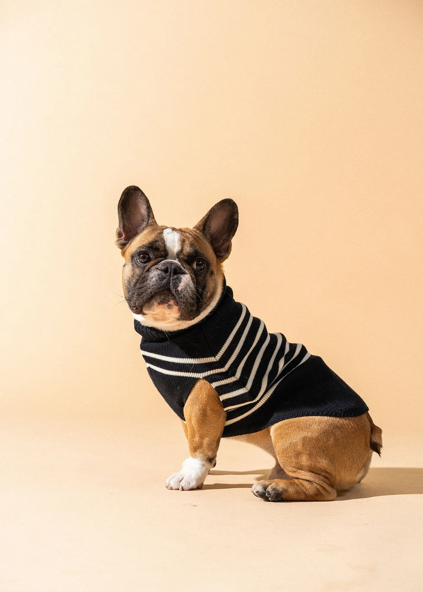 Le Toutoupull SAINT JAMES - pull pour chien (NAVY/ECUME)