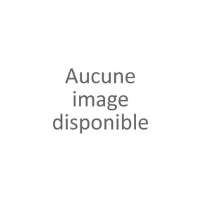 Mocassin confort bordeaux femme (36-41)