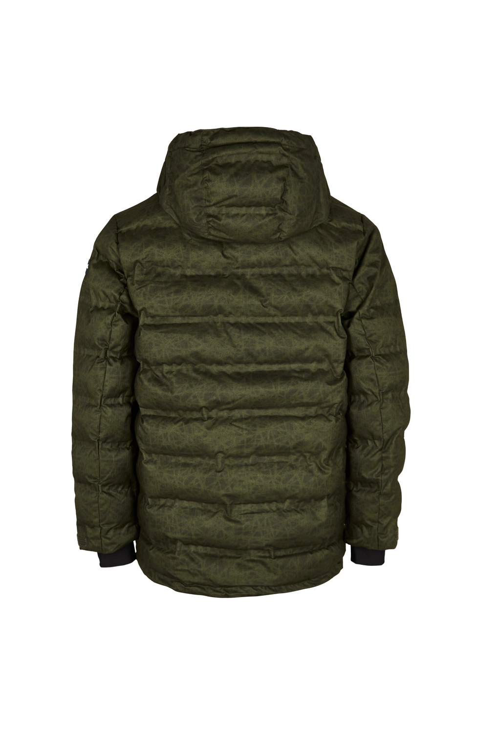 Veste de Ski O'Neill Men Extreme Moutain Green Pet